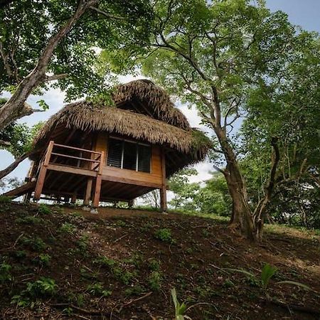 Eco Venao Lodge, ปลายาเวเนา ภายนอก รูปภาพ