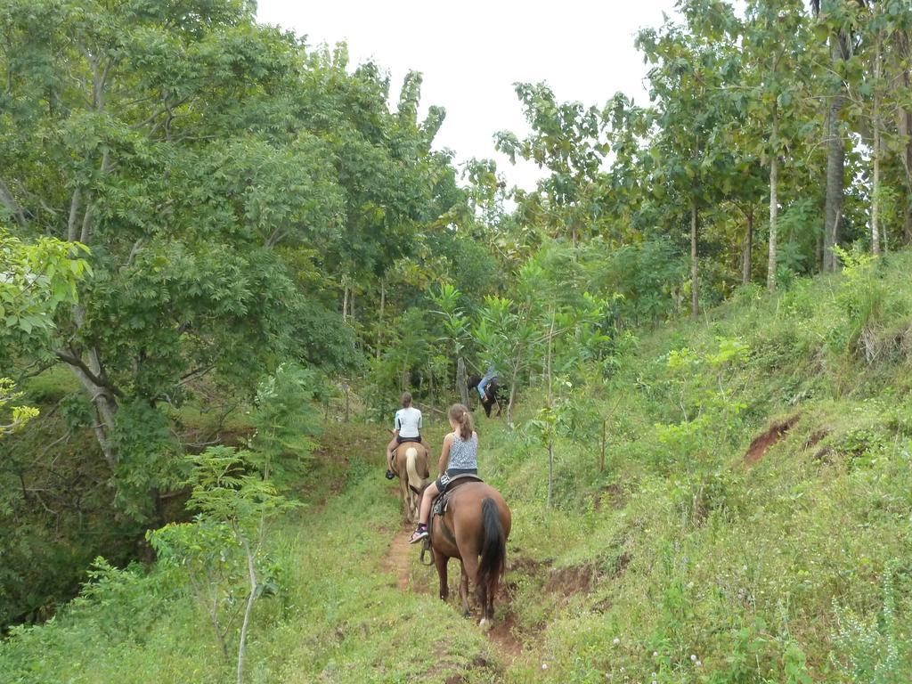 Eco Venao Lodge, ปลายาเวเนา ห้อง รูปภาพ