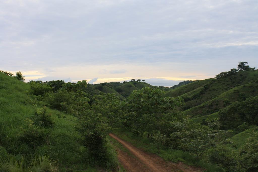 Eco Venao Lodge, ปลายาเวเนา ห้อง รูปภาพ