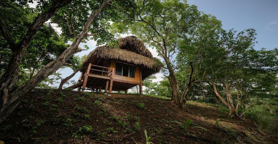 Eco Venao Lodge, ปลายาเวเนา ภายนอก รูปภาพ